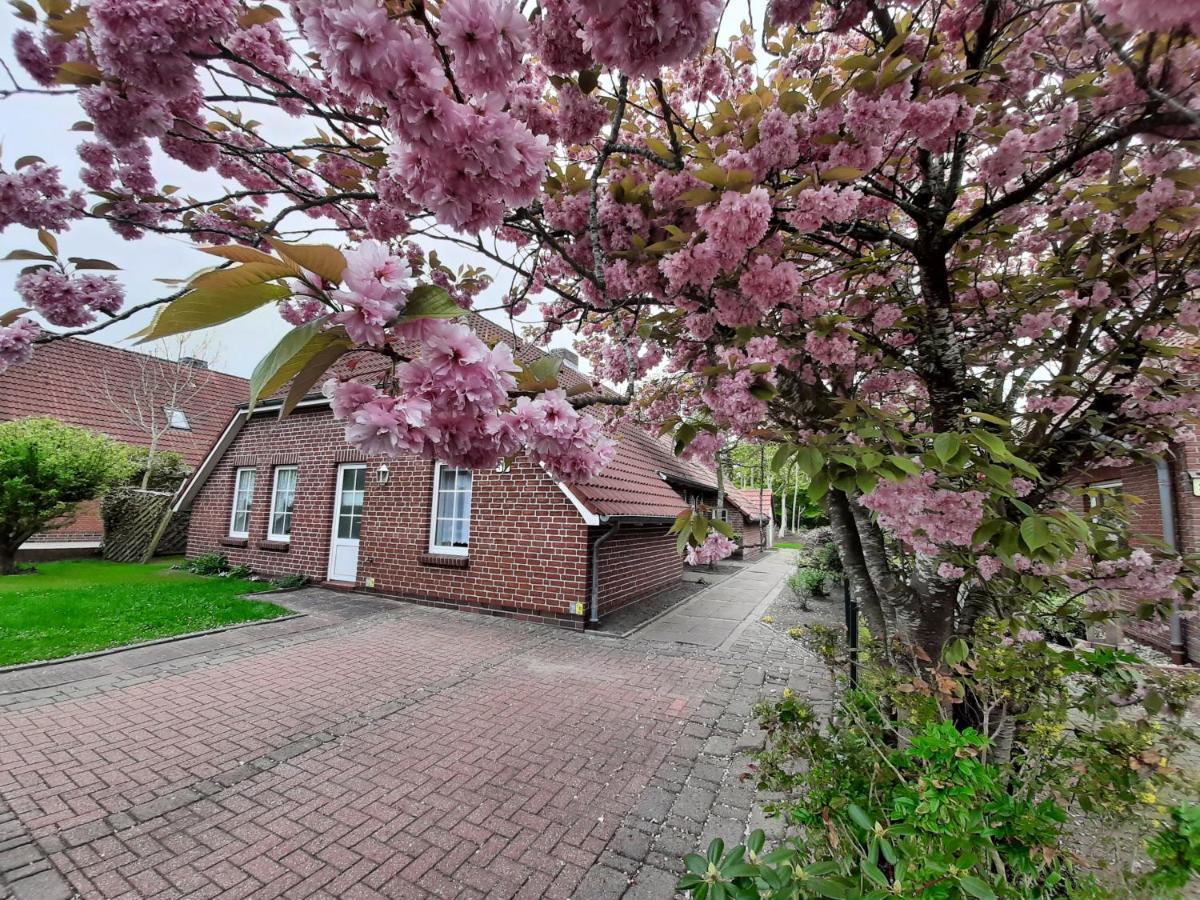 Apartmán Flut Norden Exteriér fotografie
